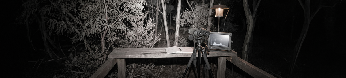 Infrared binoculars on a tripod with a display screen on a timber bench in the bush at night