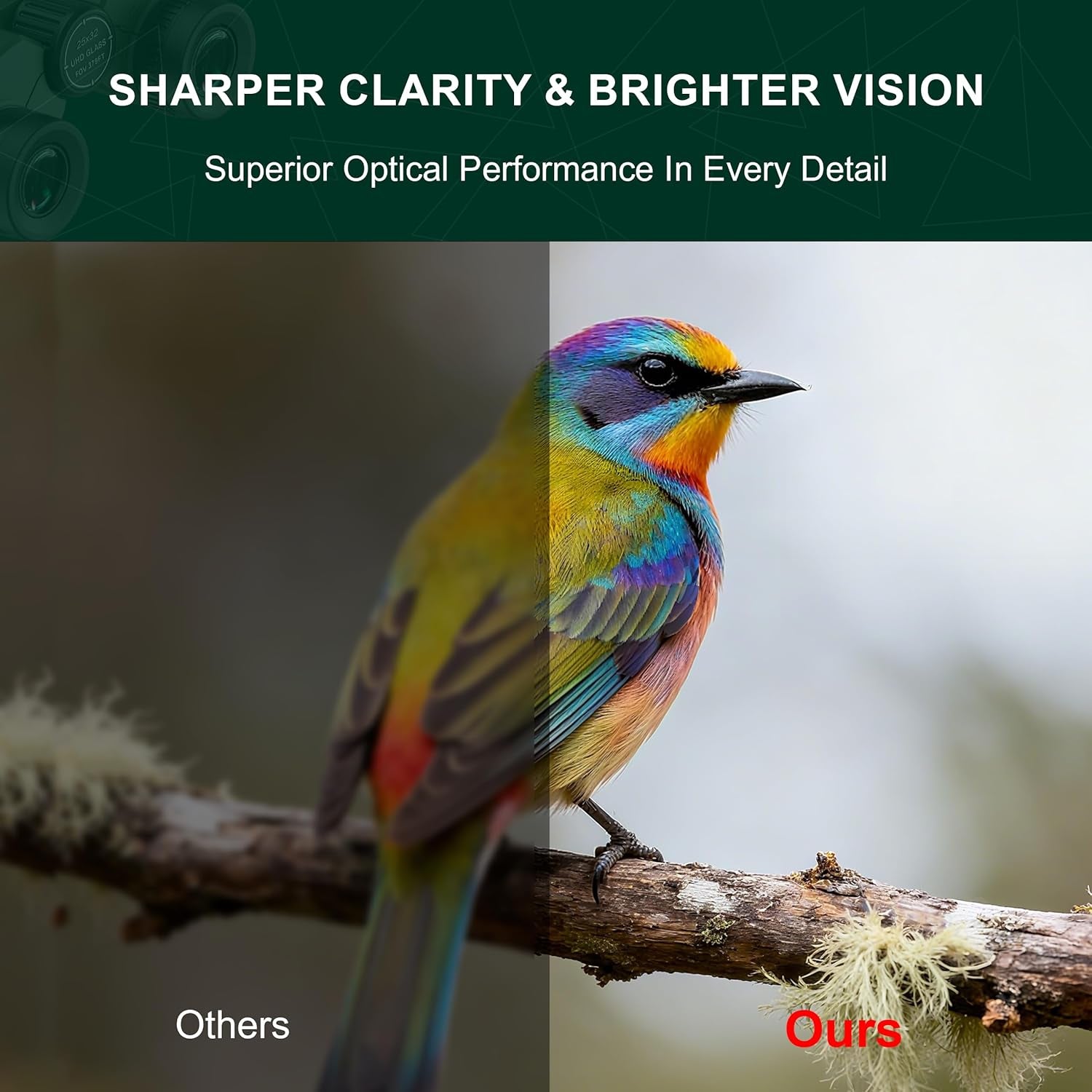 25X32 Compact UHD Binoculars for Adults - Small Binoculars with Clear Low Light Vision - Super Bright Lightweight & Waterproof Binocular for Bird Watching Travel Hunting