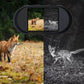 Night Vision Goggles Night Vision Binoculars Hunting Goggles 850nm IR Record Video Photo Camera Digital DVR