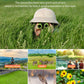 Binoculars for Kids, Toys for 3-12 Years Boys and Girls High-Resolution Optics Shockproof Mini Compact Toy Binoculars for Bird Watching, Hiking, Camping, Science, Detective