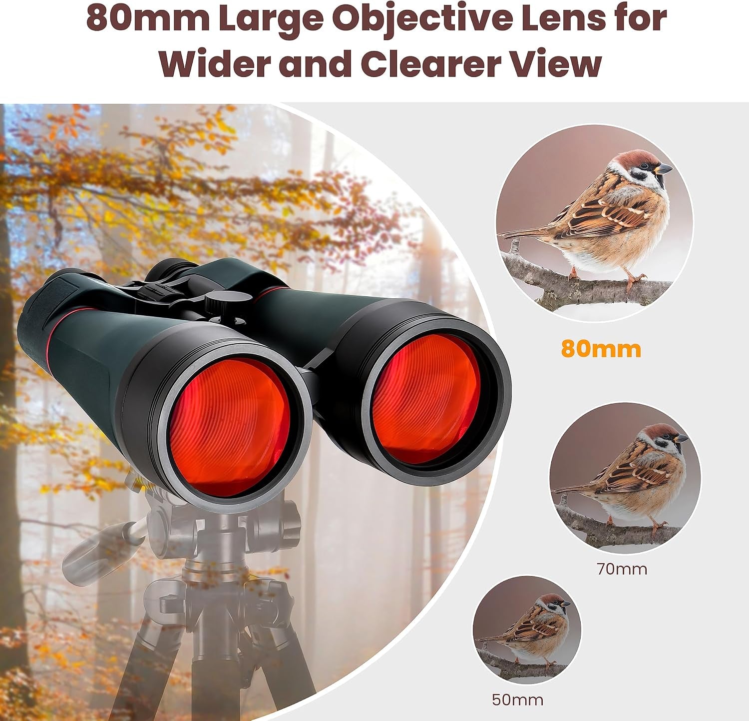Astronomy Binoculars - 20X80 for Adults, Outdoor Waterproof Binoculars for Bird Watching, Travel and Stargazing with Tripod Adapter and Carrying Bag
